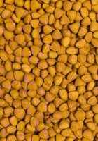 سيتاكوس اكل الطيور للببغاوات المنتجة 12كيلو - High...