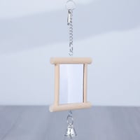 لعبة مرآة الطيور