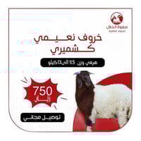 خروف نعيمي كشميري (11.5-13 ك)