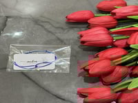 اسوارة النوادي الانديه