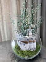 فازة العود لافندر العود