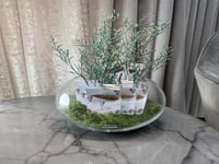 فازة العود لافندر العود