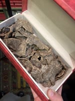 تشار فيتنامي