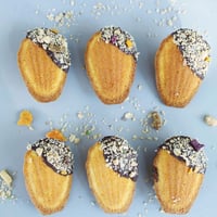 قالب كيك المادلين صغير 27 سم 6 تجويفات - شيف ميد