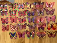 اكواب الفراشات