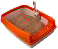 باكج للقطط الصغير من 17 قطعة