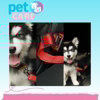 حزام امان لمقعد السيارة للكلاب والحيوانات الاليفة