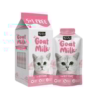 كت كات اظرف حليب للقطط الصغيرة 5+1 *50 غ