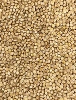 دخن فاتح 1KG تعبئة يدوية W