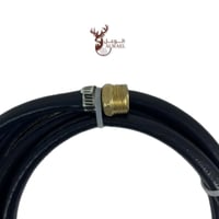 لي الوعل الايطالي مع بزبوز