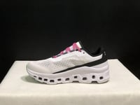 On Running Cloudmonster