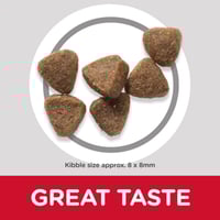 هيلز طعام جاف للقطط الصغيرة بنكهة التونة 1.5 كيلو