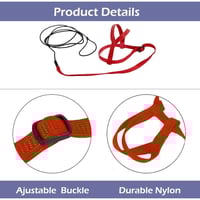 سدارية مع ليش للطيور