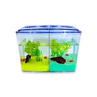 حوض سمك مزدوج لأسماك الفايتر