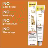 جيم كات عصار لتعزيز الطاقة للقطط الكسوله 50ج