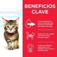 هيلز اظرف طعام رطب للقطط الصغيرة بالديك الرومي 85ج