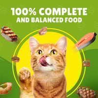 بيورينا فريسكس طعام رطب للقطط بالدجاج في المرق 85ج