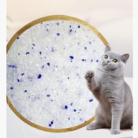 ترو تيست رمل كريستال للقطط بدون رائحة