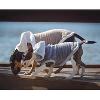 زولكس تيدي هودي ملابس شتوية للقطط والكلاب الصغيرة,...