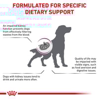 رويال كانين رينال للكلاب طعام جاف لدعم وظائف الكلى...