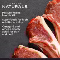 دايموند ناتشورال طعام جاف للجراء بنكهة لحم الضأن و...