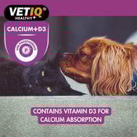 فيت اي كيو كالسيوم بلس فيتامين أقراص للقطط والكلاب...