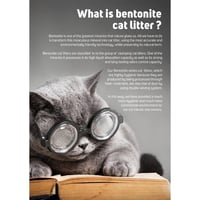 كاتمانيا رمل قطط جودة عالية كاربون إيفيكت 10 لتر