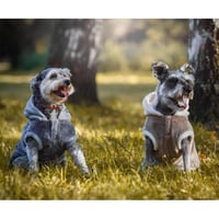 زولكس تيدي هودي ملابس شتوية للقطط والكلاب الصغيرة,...