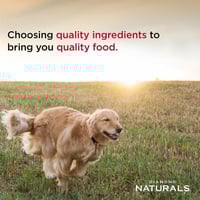 دايموند ناتشورال طعام جاف للكلاب البالغة من السلال...