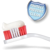 بيفار معجون اسنان مع فرشاة للقطط والكلاب 100ج