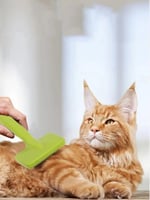 مشط شعر ناعم للكلاب والقطط 15.5 * 7.8 * 3.6 سم