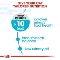 رويال كانين طعام جاف للقطط للعناية بالمسالك البولي...