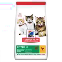 هيلز طعام جاف للقطط الصغيرة دجاج - احجام مختلفه