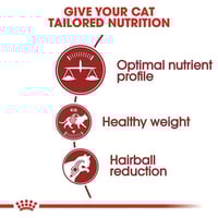 رويال كانين فيت 32 طعام جاف للقطط البالغة