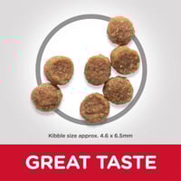 هيلز طعام جاف للجراء من السلالات الصغيرة و صغيرة ا...