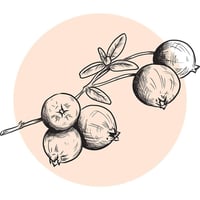 جوسيرا بوريناري طعام جاف للقطط البالغة للعناية بال...