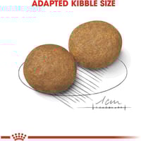 رويال كانين طعام جاف ميديم ادولت للكلاب احجام متنو...