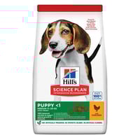 هيلز طعام جاف للجراء من السلالات المتوسطة بالدجاج