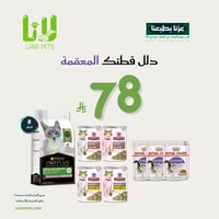 عرض اليوم الوطني 95 - للقطط المعقمة 8 قطع