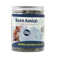 عشبة كاتنيب للقطط 50ج بيون اميجو