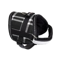 جيم دوق صدارية للجراء والكلاب الصغيرة للتنزه اشكال...