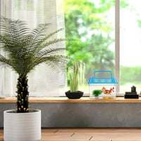 حوض سمك بلاستيك صغير مربع - بغطاء ألوان متعددة