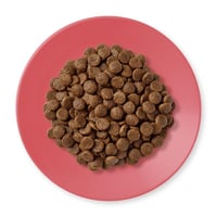 ابلاوز طعام جاف بنكهة الدجاج والبط للقطط البالغة-ا...