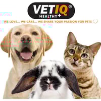 فيت اي كيو هيلثي بايتس مجموعه مكافئات قطط صحية للع...