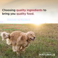 دايموند ناتشورال طعام جاف للجراء من السلالات الصغي...