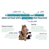 هريرة طعام جاف للقطط البالغة بنكهة الدجاج والخضار...