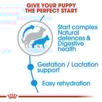 رويال كانين طعام جاف ستارتر ماكسي للجراء الرضيعة و...