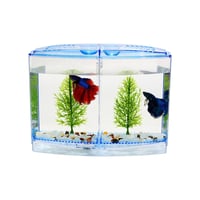 حوض سمك مزدوج لأسماك الفايتر