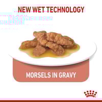 رويال كانين اندور طعام رطب بالمرق للقطط المنزلية ا...