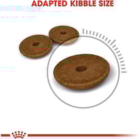 رويال كانين دايجستف طعام جاف للقطط لتسهيل عملية ال...